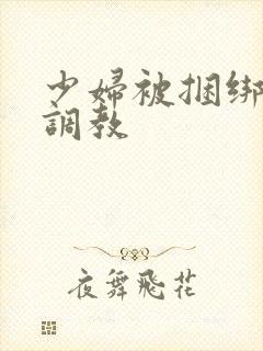 少妇被捆绑变态调教