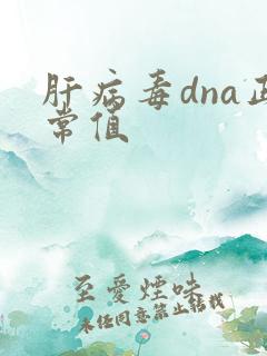 肝病毒dna正常值