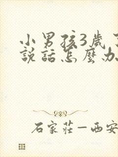 小男孩3岁了不说话怎么办