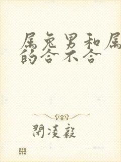 属兔男和属虎女的合不合