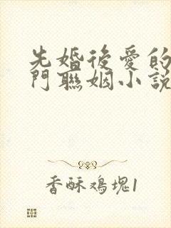 先婚后爱的双豪门联姻小说甜宠文