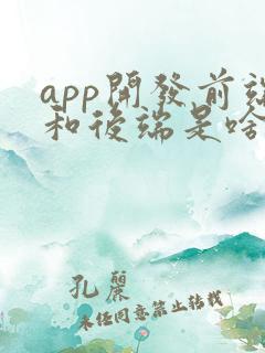 app开发前端和后端是啥