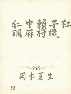 红中赖子杠怎么调麻将机