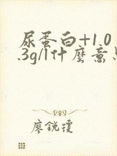 尿蛋白+1 0.3g/l什么意思