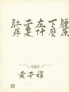 肚子左下腹按压疼是什么原因女性