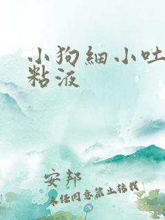 小狗细小吐白色粘液