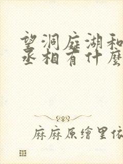 望洞庭湖和赠张丞相有什么关系