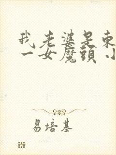 我老婆是东晋第一女魔头 小说在线阅读