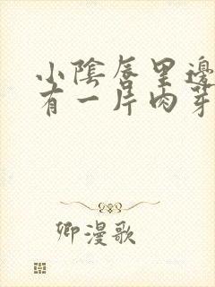 小阴唇里边内侧有一片肉芽