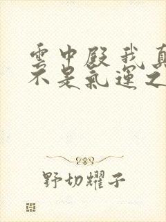 云中殿 我真的不是气运之子