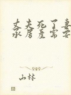 丈夫死了妻子继承房产需要哪些手续