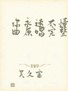 你永远不懂我歌曲原唱完整版歌词