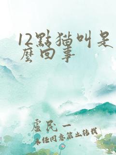 12点猫叫是怎么回事