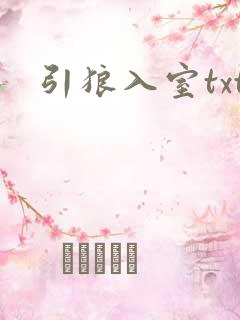引狼入室txt