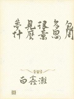 梦见很多包包是什么意思周公解梦