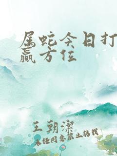 属蛇今日打牌必赢方位