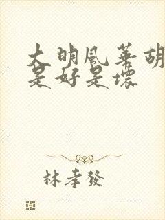 大明风华胡善祥是好是坏