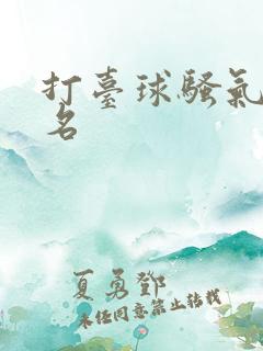 打台球骚气的网名