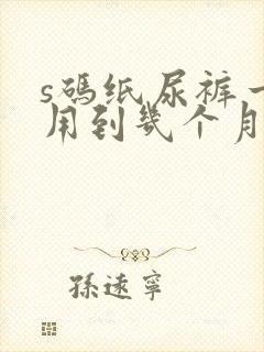 s码纸尿裤一般用到几个月