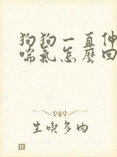 狗狗一直伸舌头喘气怎么回事