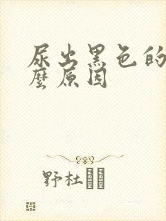 尿出黑色的血什么原因