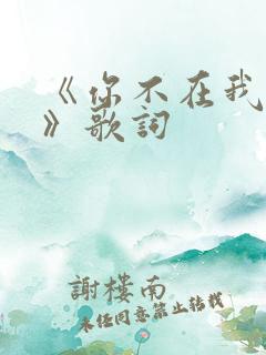 《你不在我不在》歌词