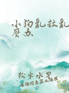 小狗乱拉乱尿怎么办