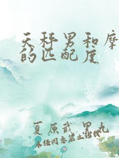 天秤男和摩羯女的匹配度