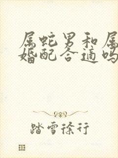 属蛇男和属蛇女婚配合适吗