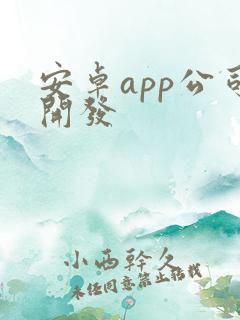 安卓app公司开发