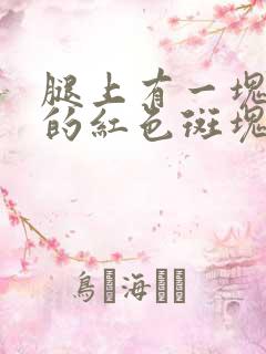 腿上有一块一块的红色斑块