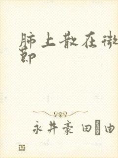 肺上散在微小结节