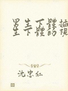 男生下体插入女生下体的视频