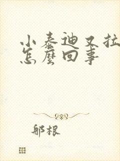 小泰迪又拉又吐怎么回事