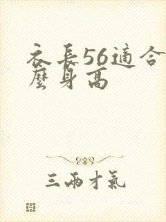 衣长56适合什么身高