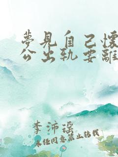 梦见自己怀孕老公出轨要离婚