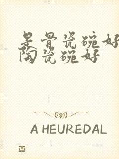 是骨瓷碗好还是陶瓷碗好