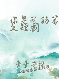 你是我的蓄谋已久短剧