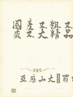 国产又粗又硬又爽又大精品