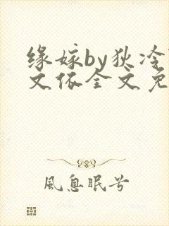 缘嫁by狄冷陆文依全文免费阅读笔趣阁