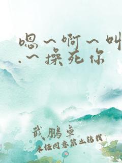 嗯～啊～叫...～操死你