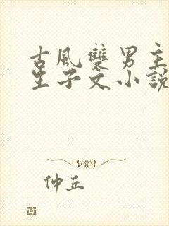 古风双男主超虐生子文小说