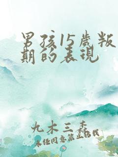 男孩15岁叛逆期的表现