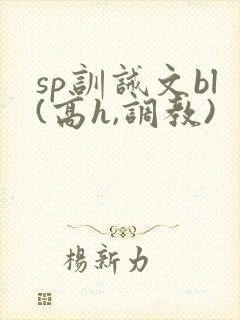 sp训诫文bl(高h,调教)