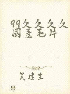 99久久久久久国产毛片