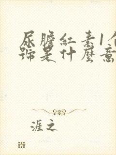 尿胆红素1个加号是什么意思