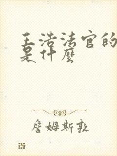 王浩法官的结局是什么