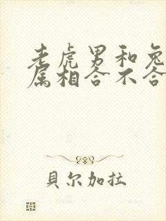 老虎男和兔子女属相合不合