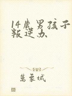 14岁男孩子的叛逆办