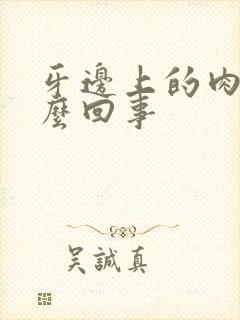 牙边上的肉疼怎么回事